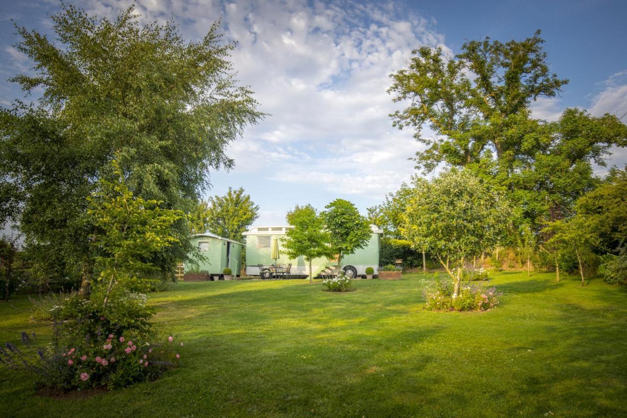 West Cottage, Southlands Farm, Gunnerton 赫克瑟姆 外观 照片